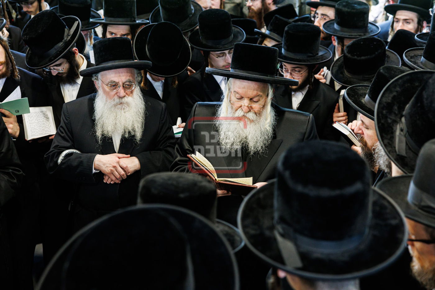 הילולא קדישא בבאבוב