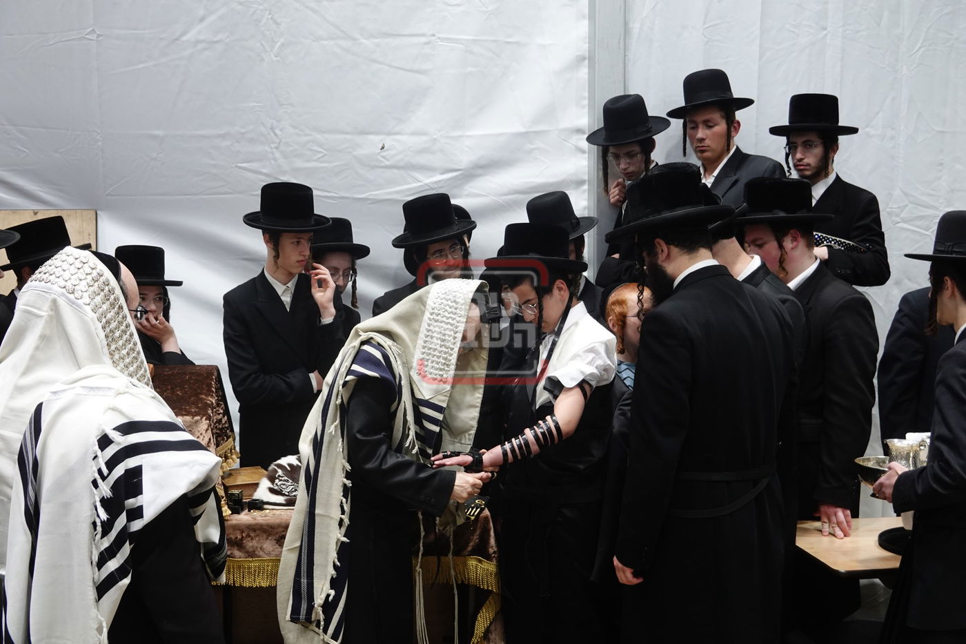 מעמד הנחת תפילין לנכד האדמו"ר מסערדאהעלי בקאנטרי