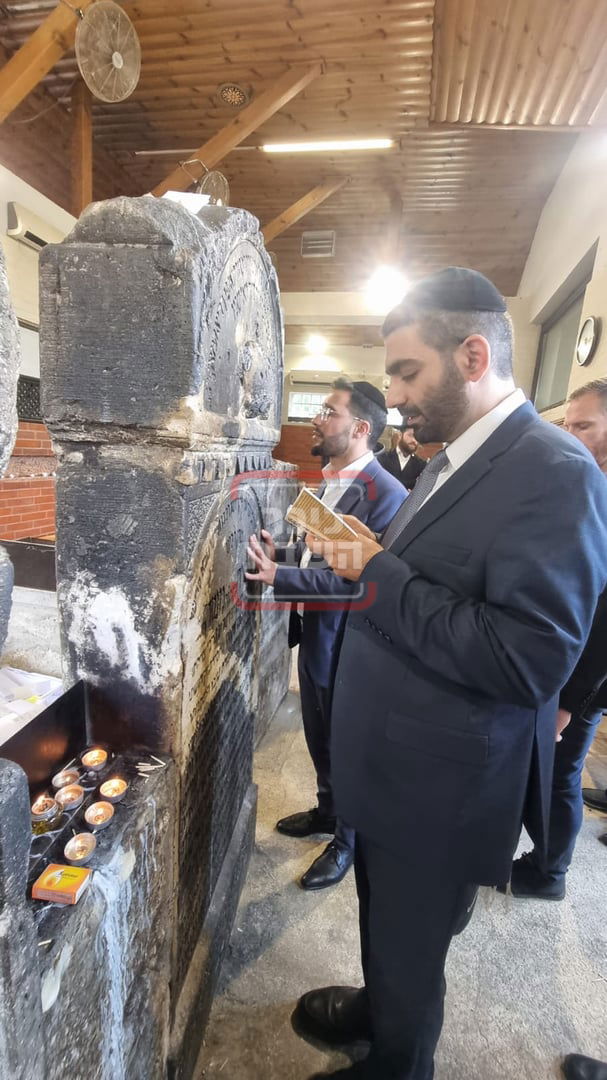 זופניק בכיכר • כל התמונות, הנייעס והחשיפות של השבוע