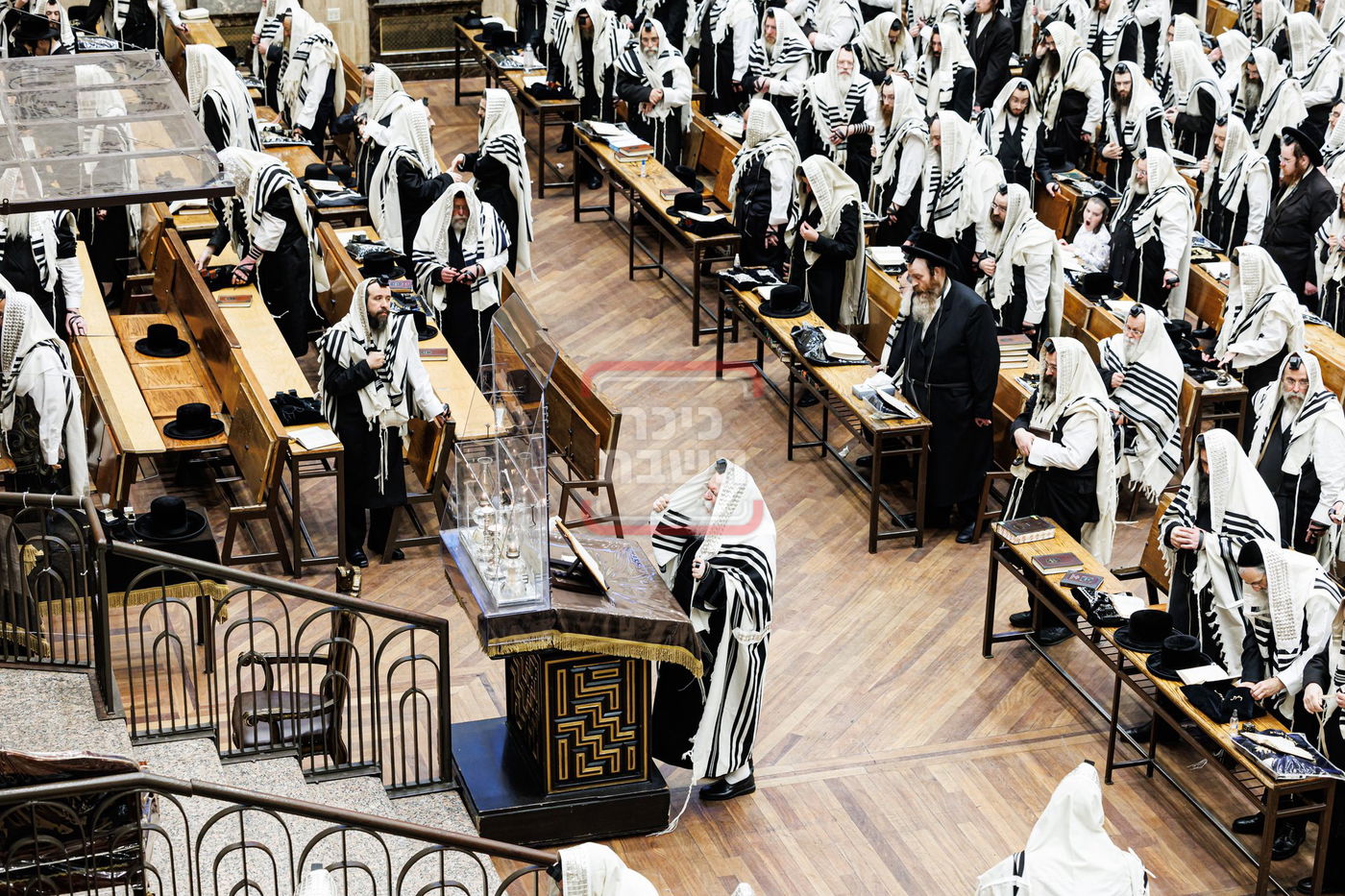 הילולא קדישא בבאבוב