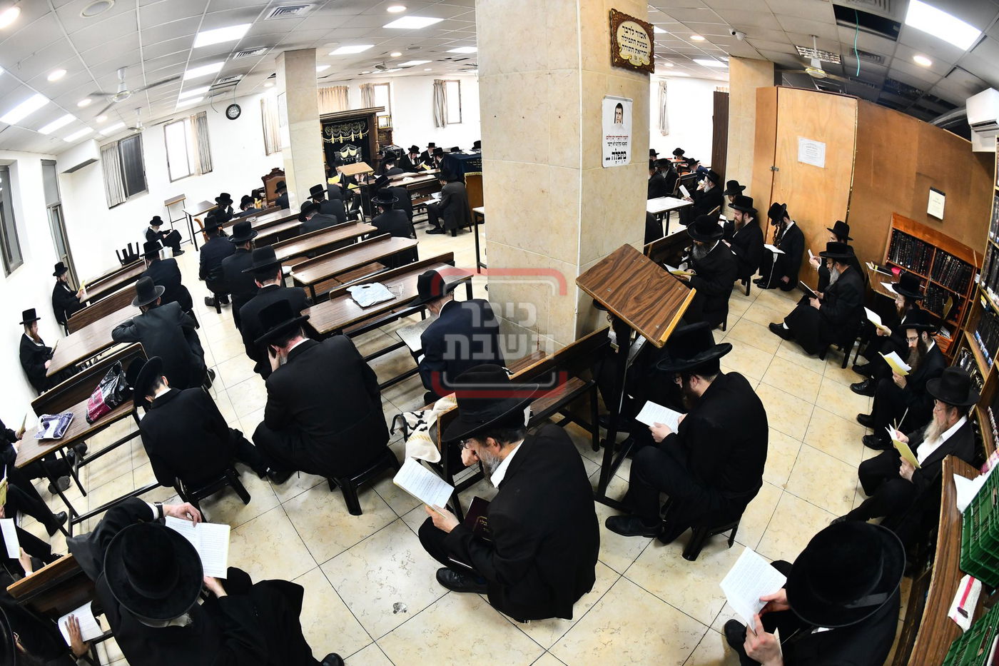 האדמו"ר משבט הלוי בתיקון חצות