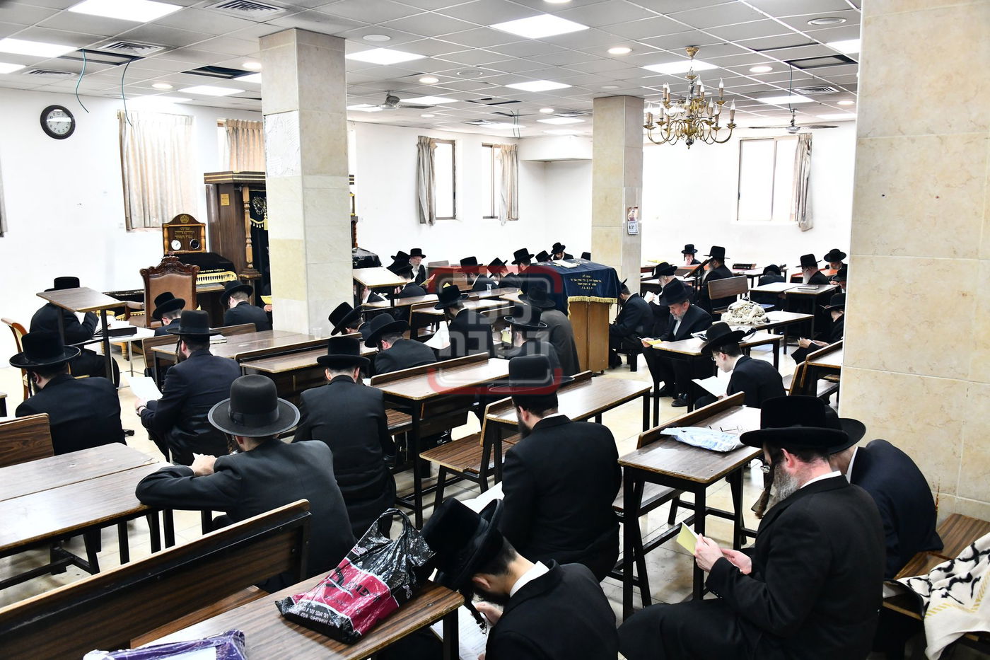 האדמו"ר משבט הלוי בתיקון חצות