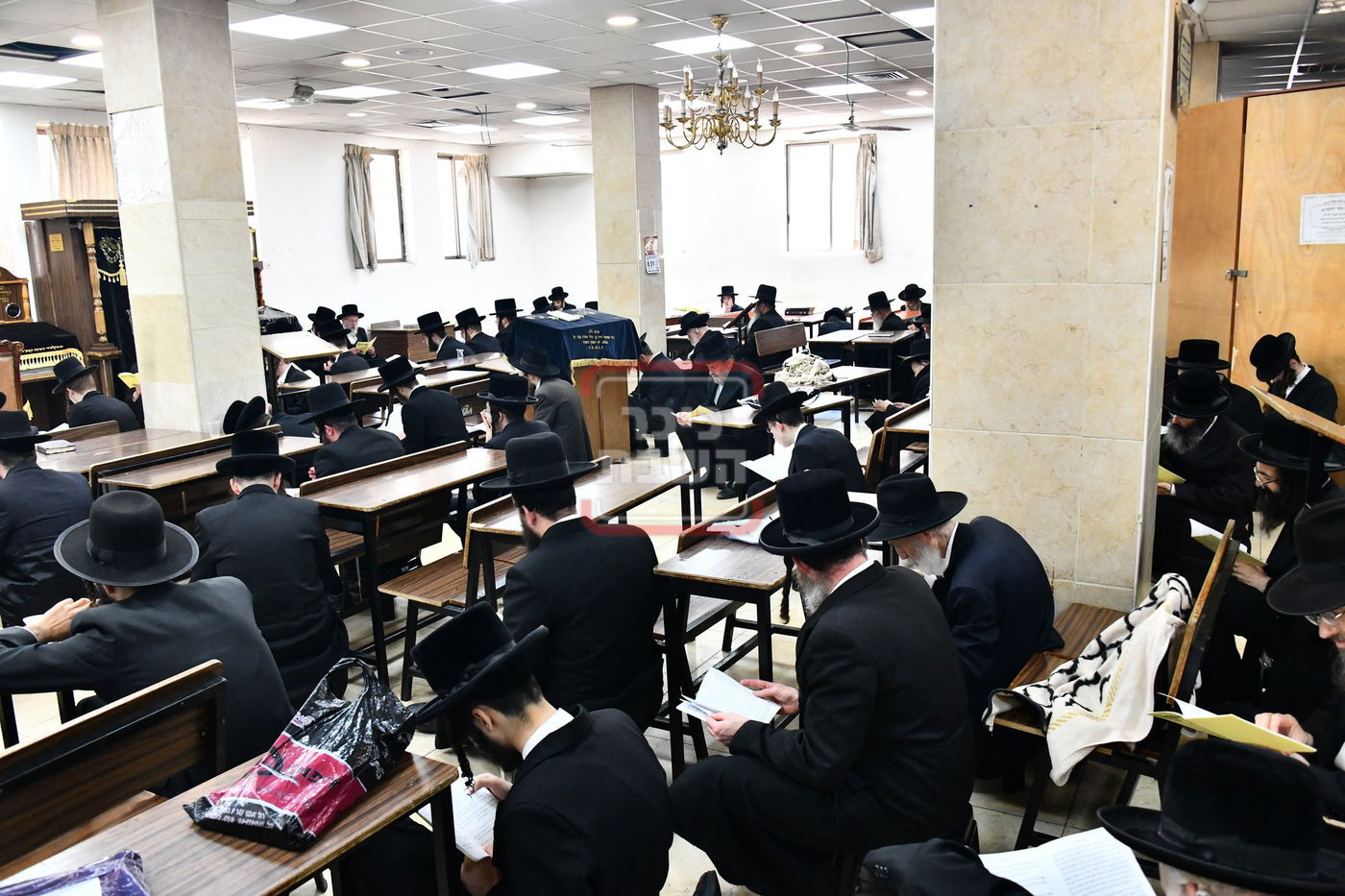 האדמו"ר משבט הלוי בתיקון חצות