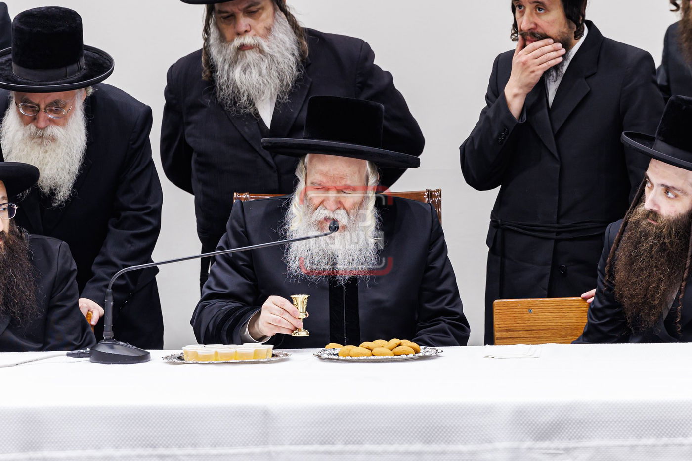 הילולא קדישא בבאבוב