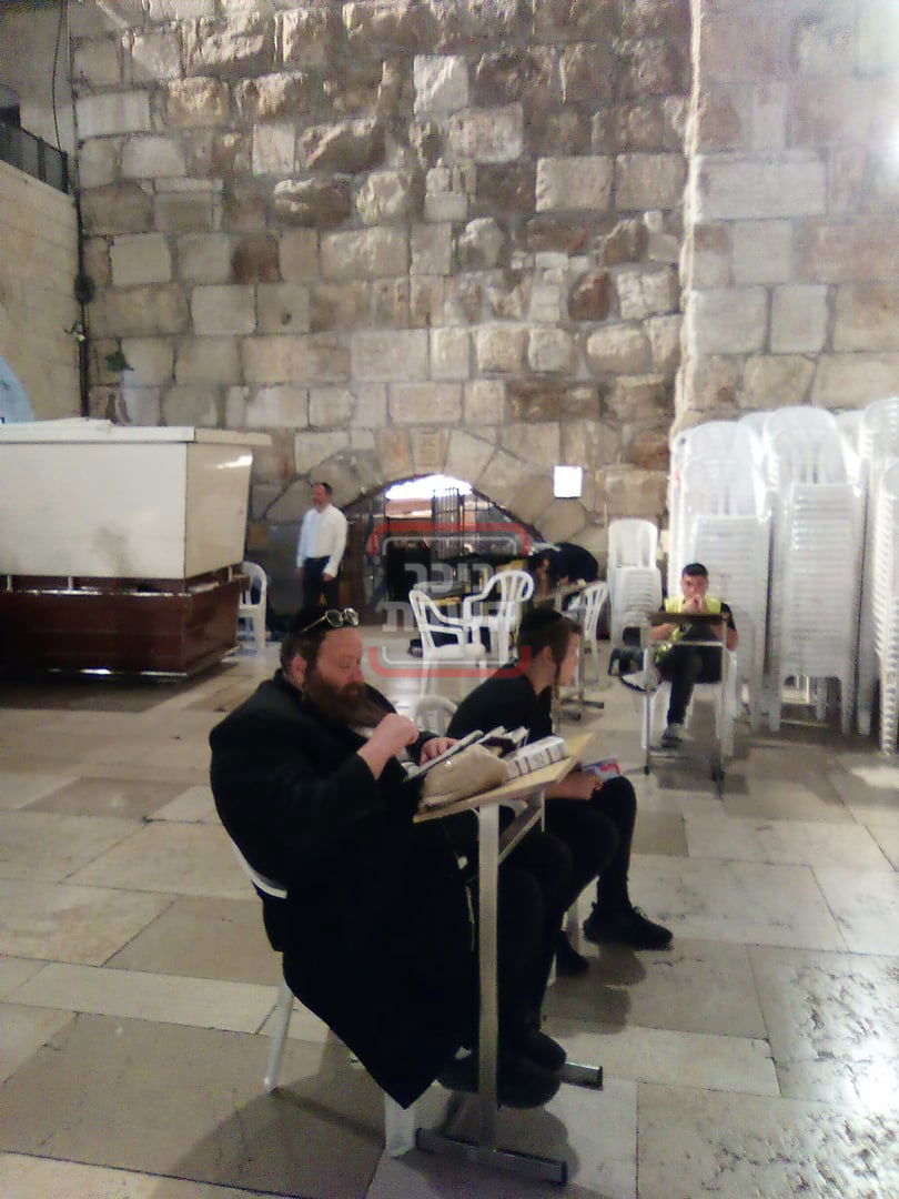 זופניק בכיכר • כל התמונות, הנייעס והחשיפות של השבוע