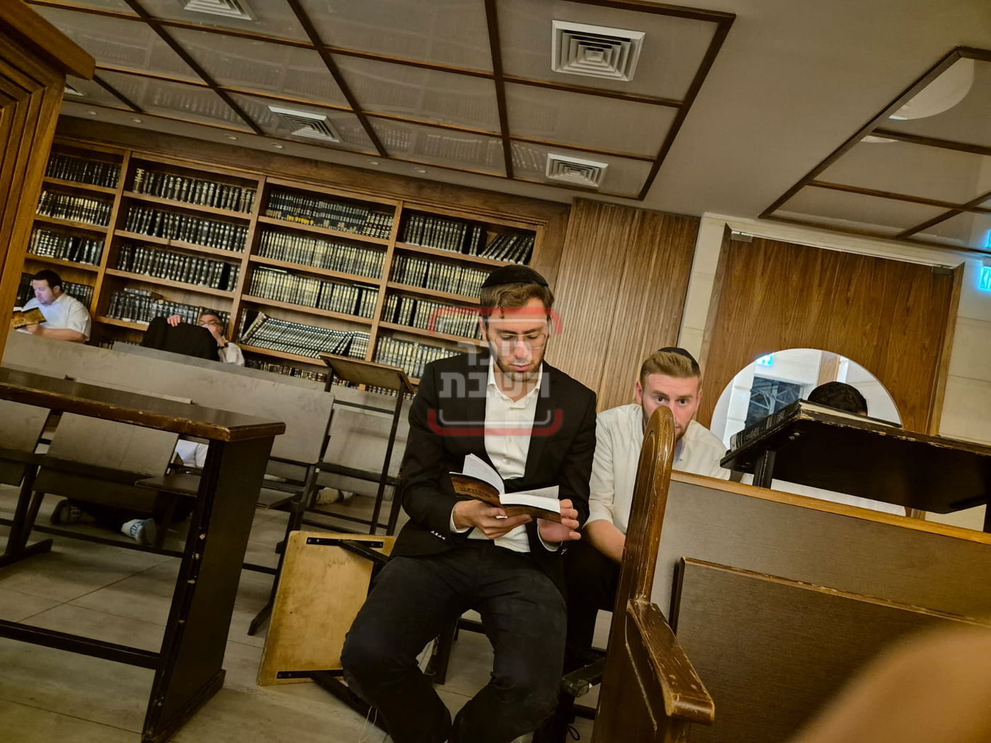 זופניק בכיכר • כל התמונות, הנייעס והחשיפות של השבוע