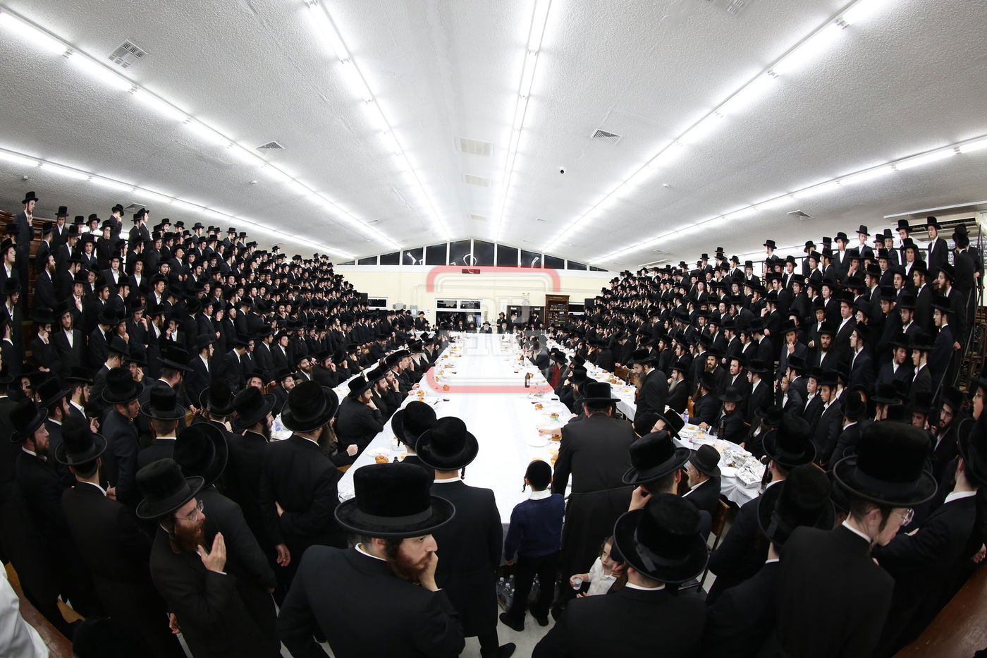 הילולא קדישא של בעל ה'קדושת ציון' מבאבוב, אצל האדמו"ר מבאבוב 