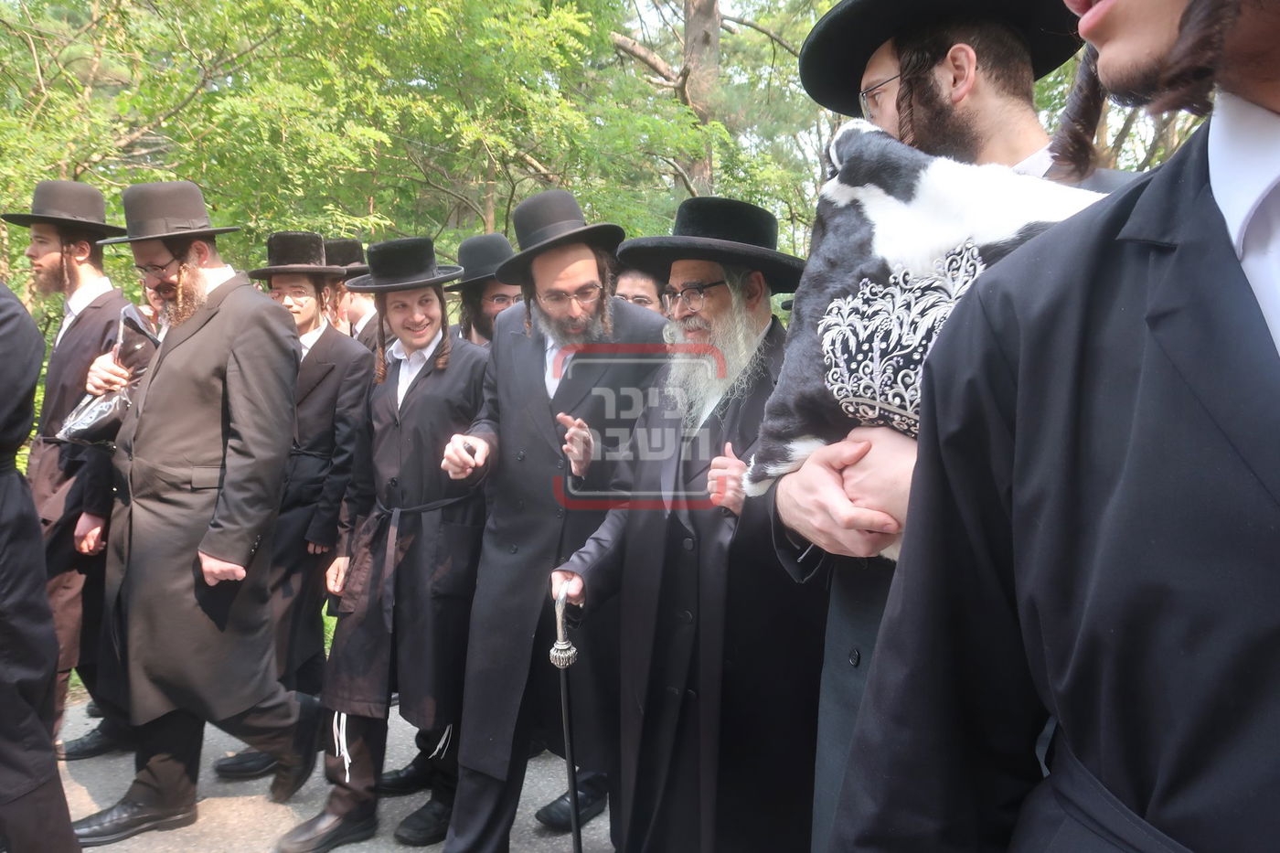 תשעה באב בחצה"ק סאטמר 