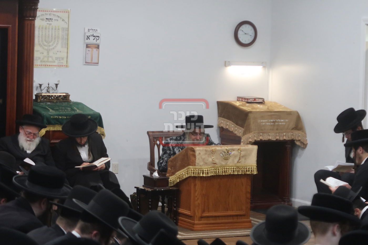 תשעה באב בחצה"ק סאטמר 