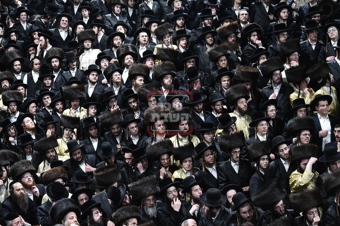 מוצאי שבת נחמו בחצה"ק סקולען ירושלים