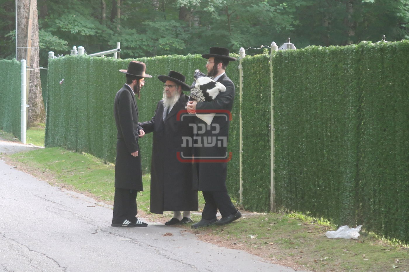 תשעה באב בחצה"ק סאטמר 