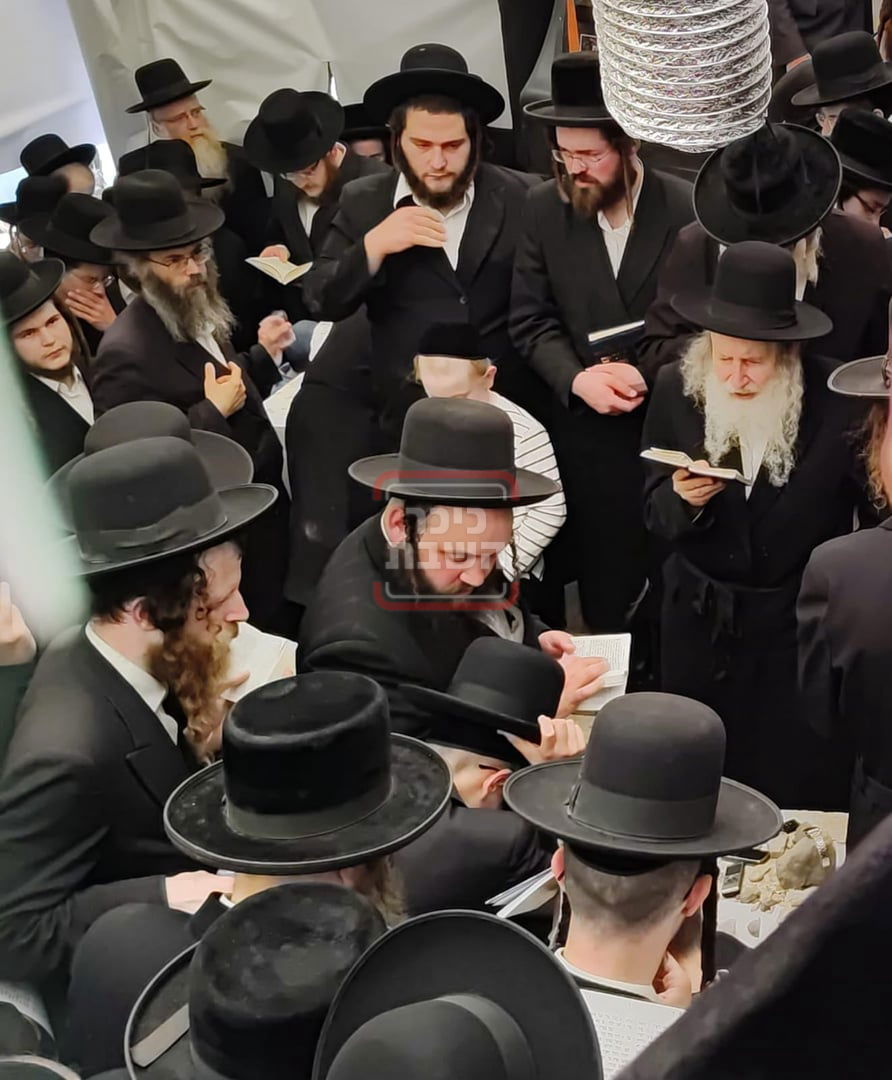 האדמו"ר מאמשינוב בציון זקינו בטבריה 