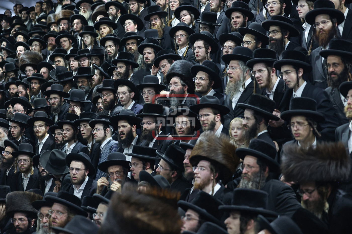 הכנסת ספר תורה בסטוטשין 