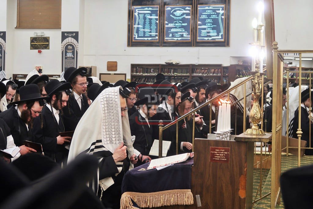 יום ההילולא בצל האדמו"ר מסאטמר 