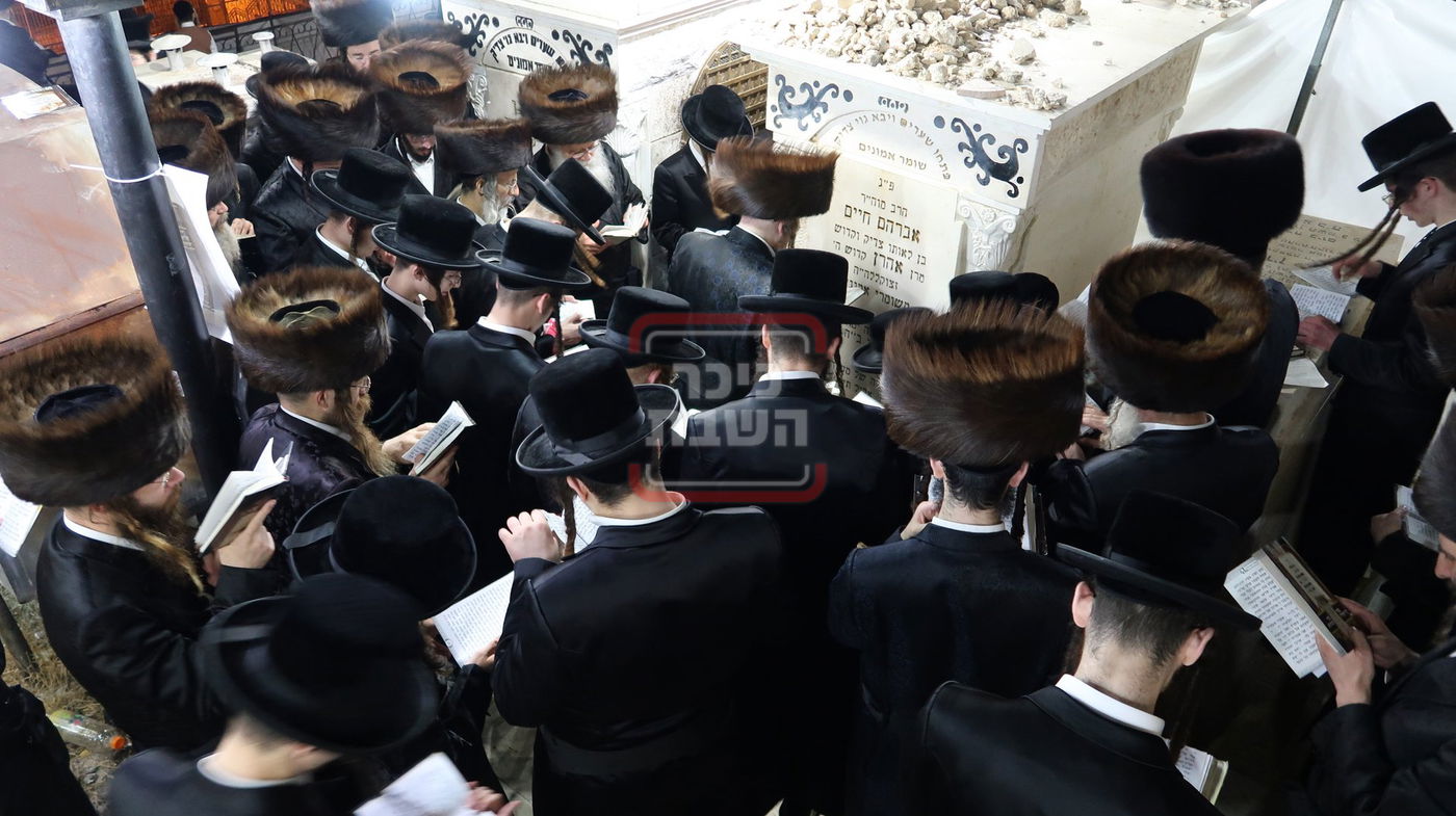 הילולא קדישא בשומרי אמונים 