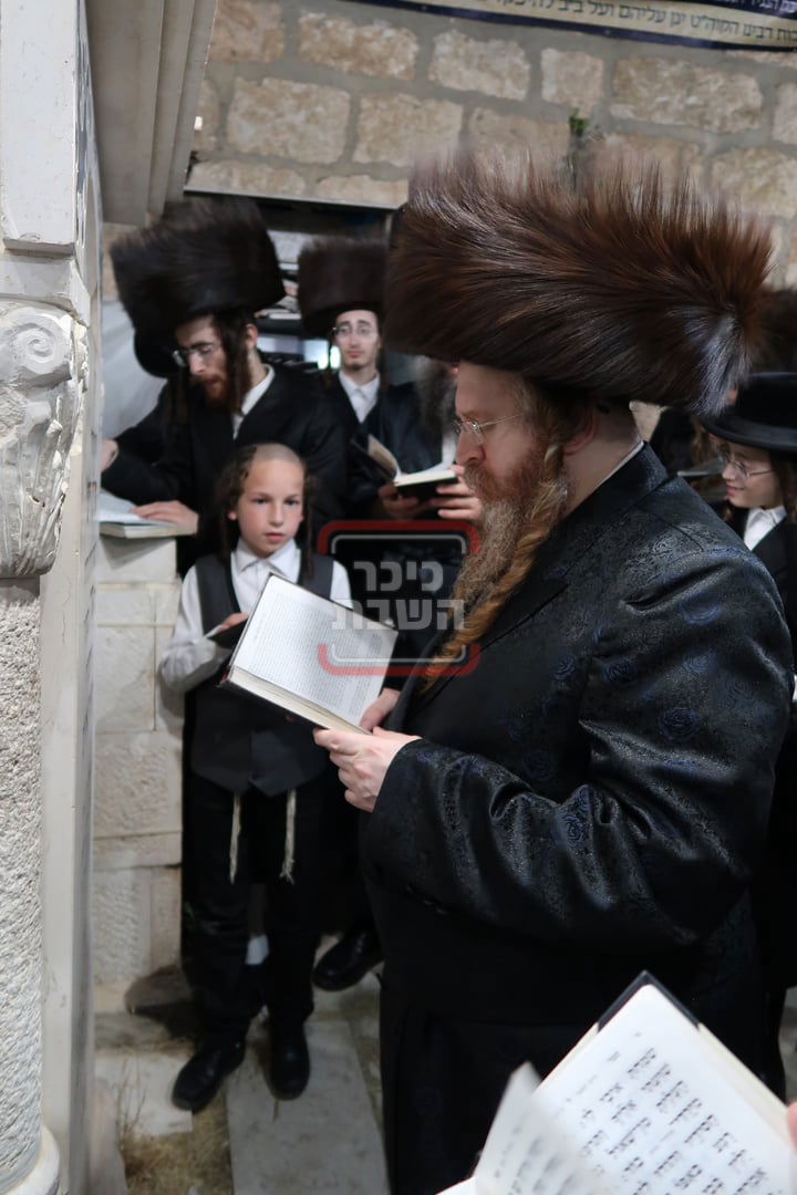 הילולא קדישא בשומרי אמונים 