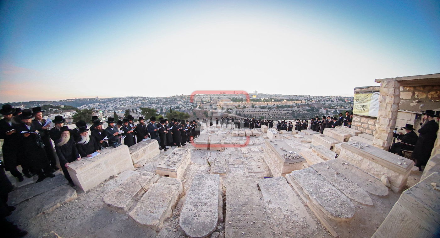 האדמו"ר מויז'ניץ במסע הקודש לעיה"ק ירושלים 