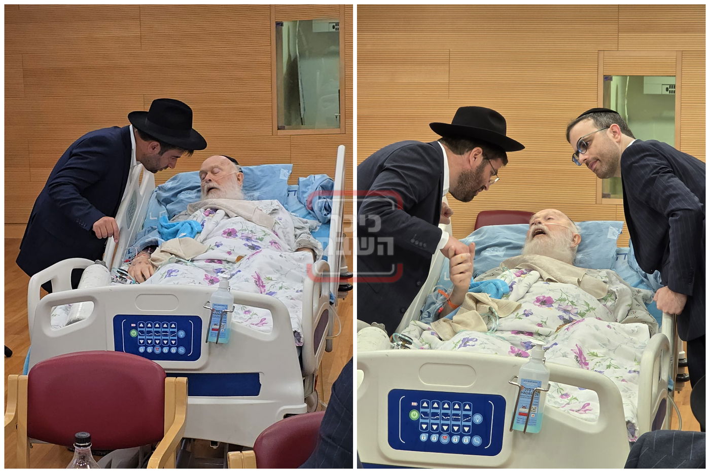 זופניק בכיכר • כל התמונות, הנייעס והחשיפות של השבוע