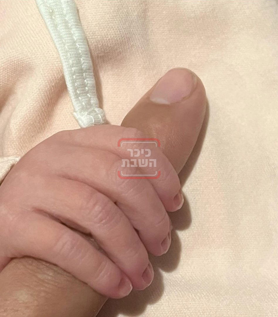 זופניק בכיכר • כל התמונות, הנייעס והחשיפות של השבוע