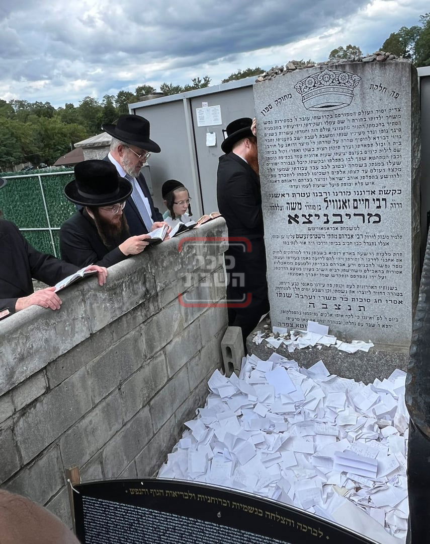 זופניק בכיכר • כל התמונות, הנייעס והחשיפות של השבוע