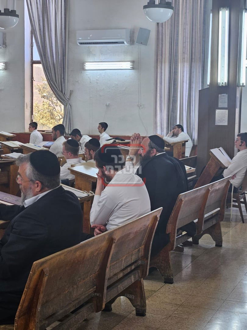 זופניק בכיכר • כל התמונות, הנייעס והחשיפות של השבוע