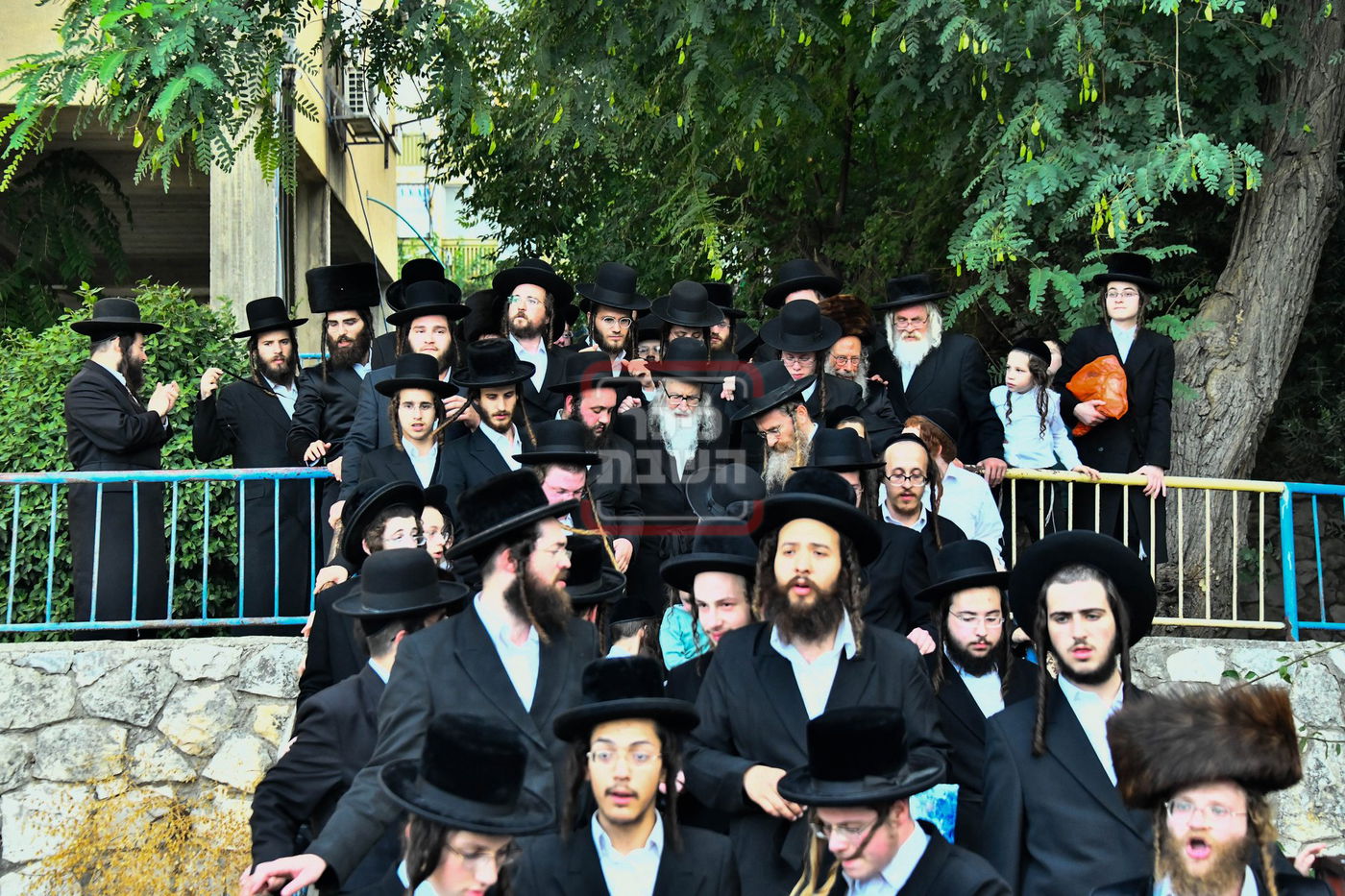 הכנסת ספר תורה וחנוכת הבית בחצה"ק אמשינוב בצפת