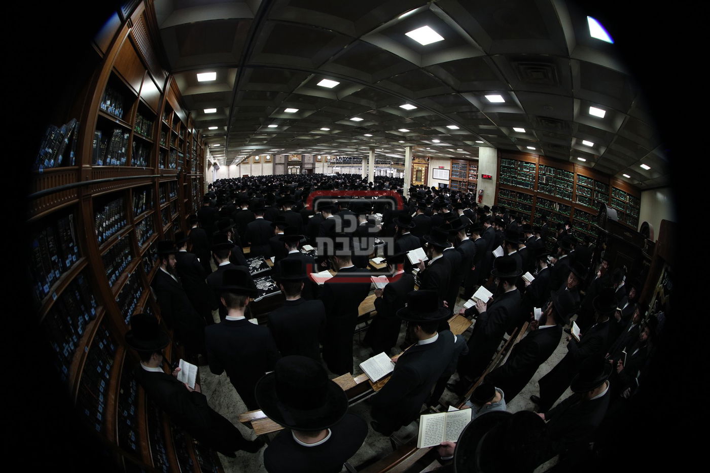 סליחות ראשונות בחצה"ק באבוב 