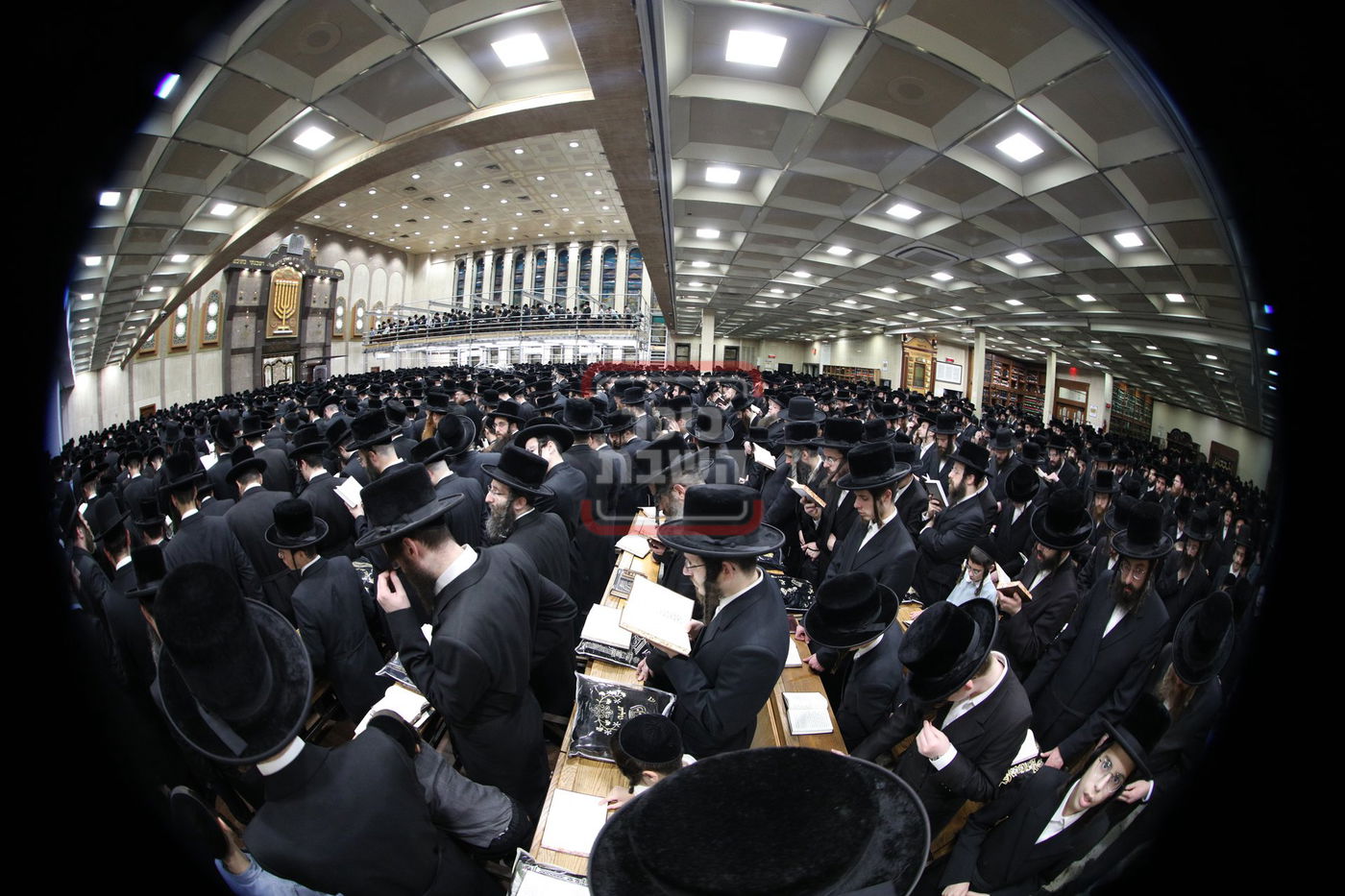 סליחות ראשונות בחצה"ק באבוב 