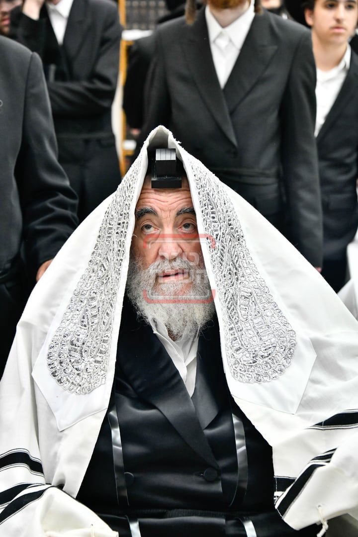 שמחת הברית בחצרות ויז'ניץ - סקולען ירושלים