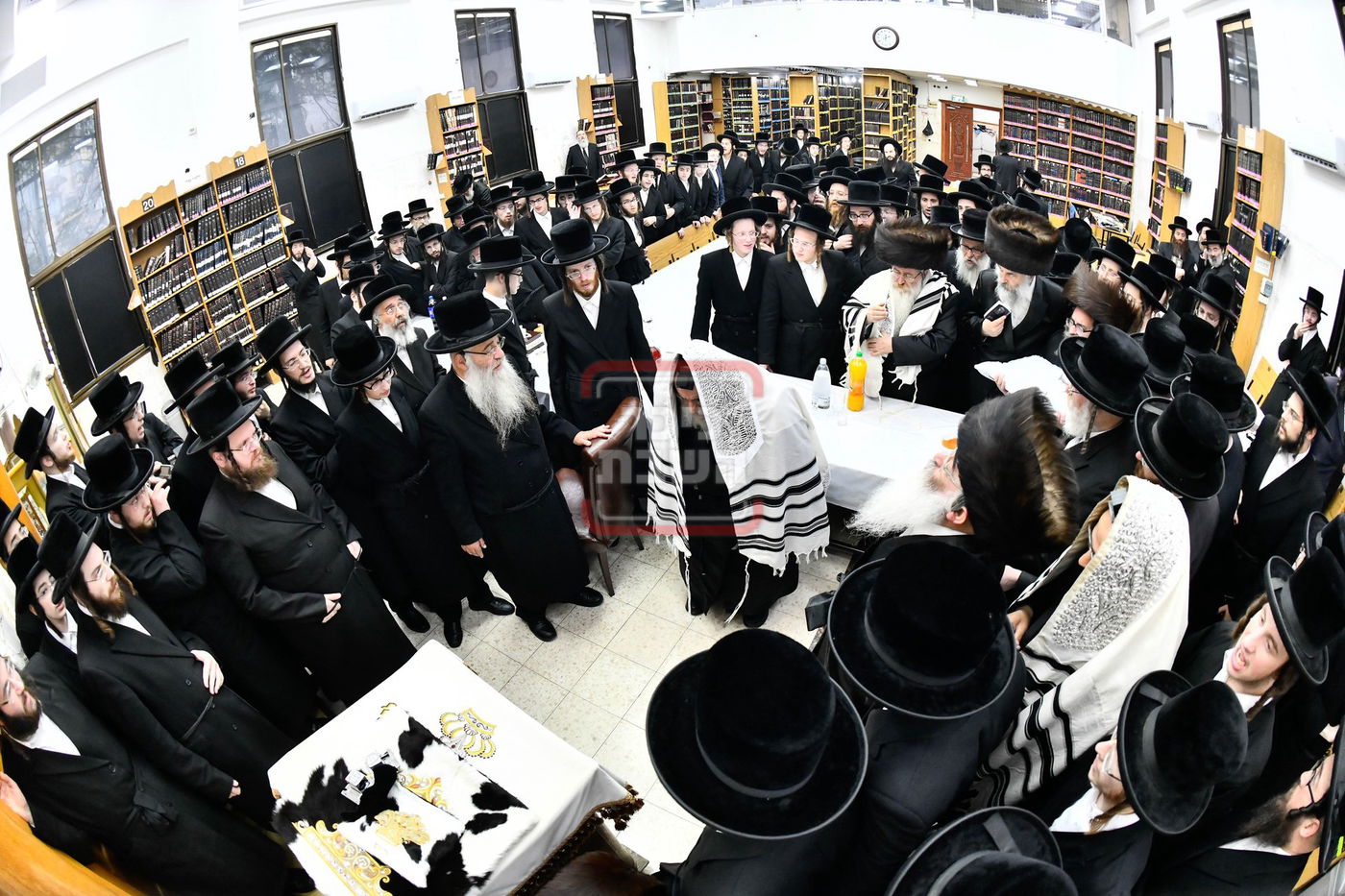 שמחת הברית בחצרות ויז'ניץ - סקולען ירושלים