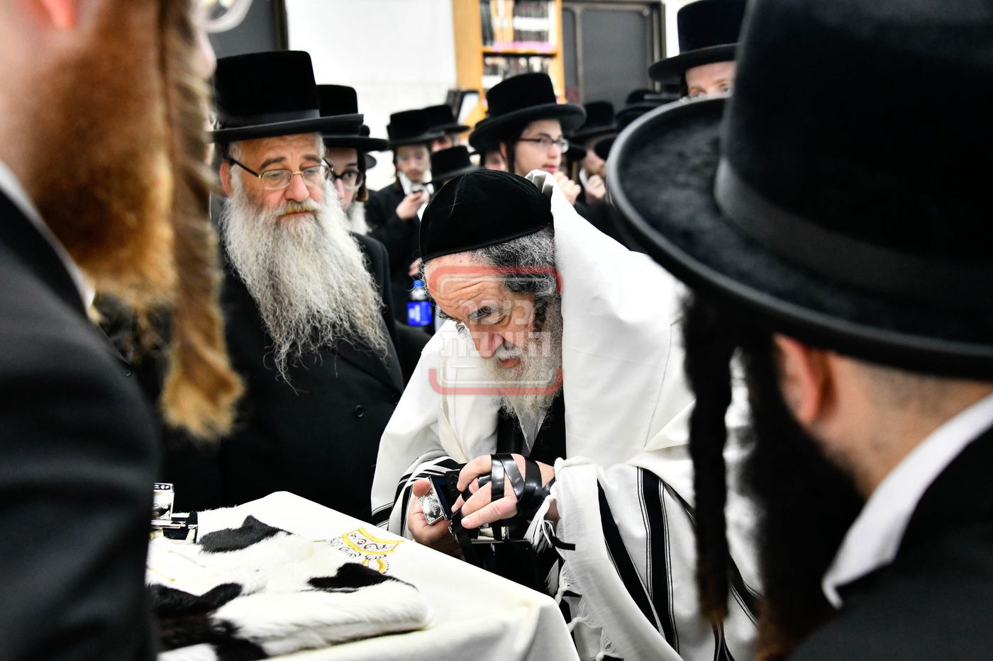 שמחת הברית בחצרות ויז'ניץ - סקולען ירושלים