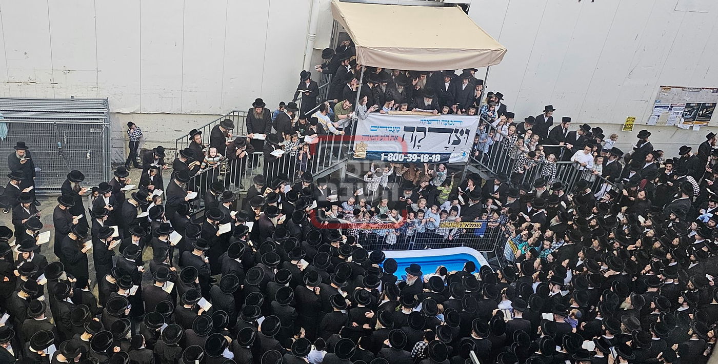 האדמו"ר מויז'ניץ במנהג תשליך 