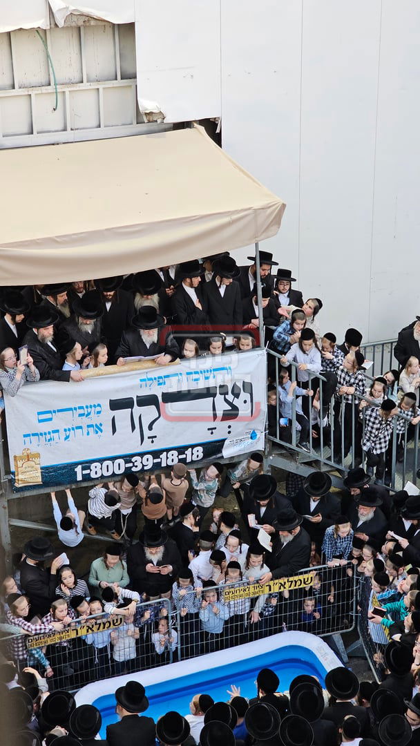 האדמו"ר מויז'ניץ במנהג תשליך 