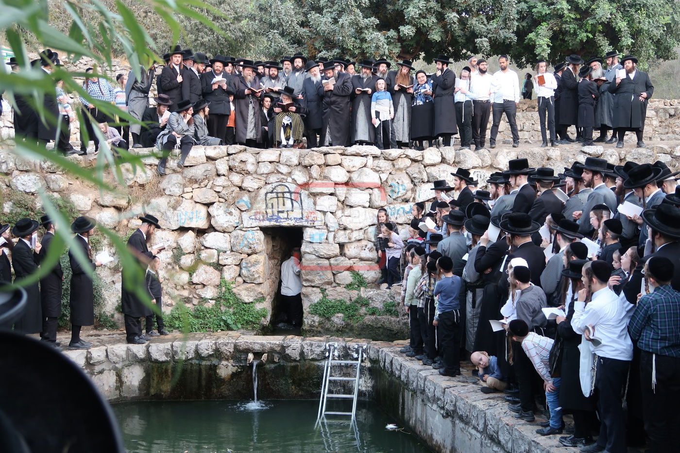 האדמו"ר מתולדות אברהם יצחק בתשליך 