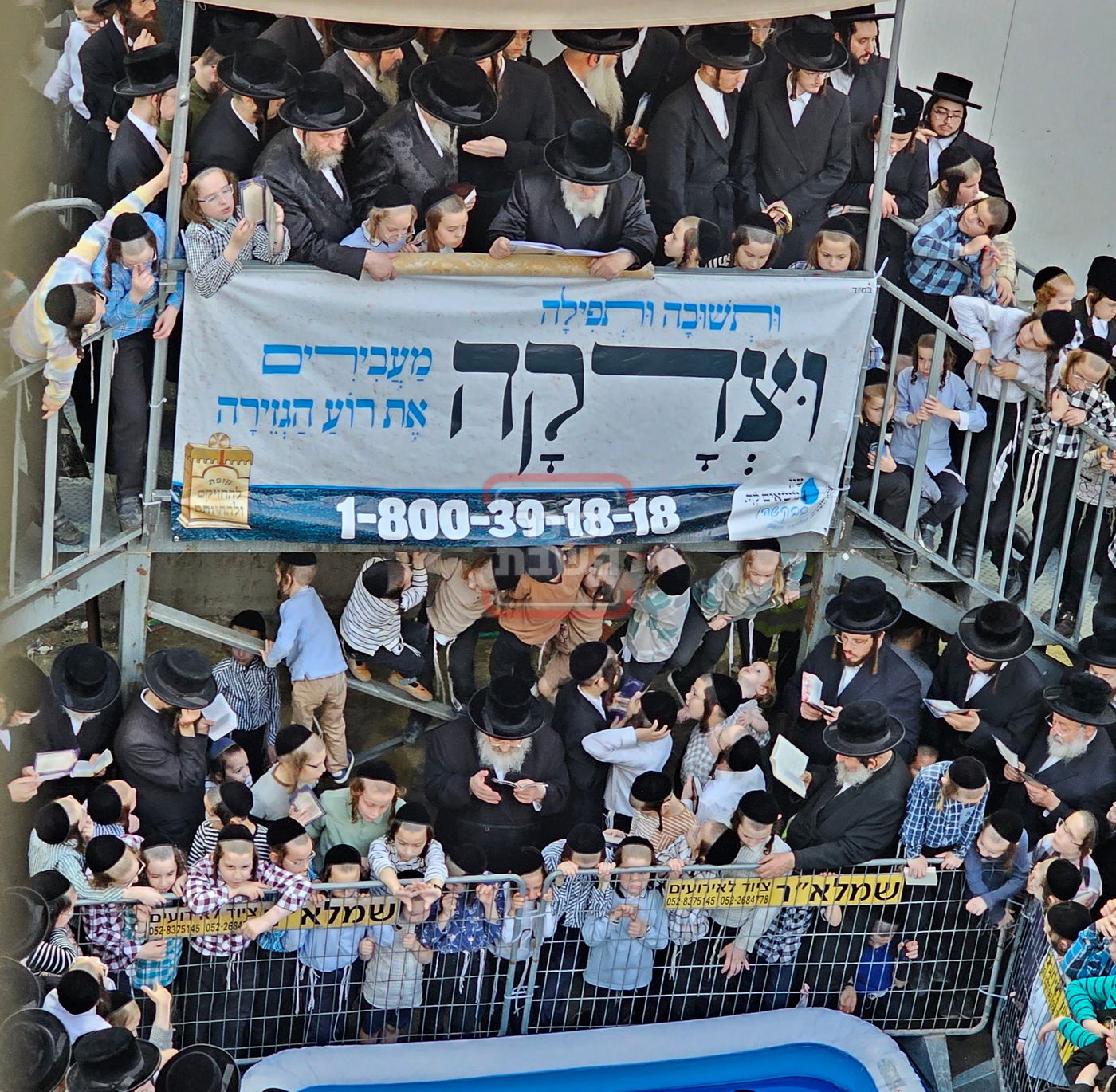 האדמו"ר מויז'ניץ במנהג תשליך 