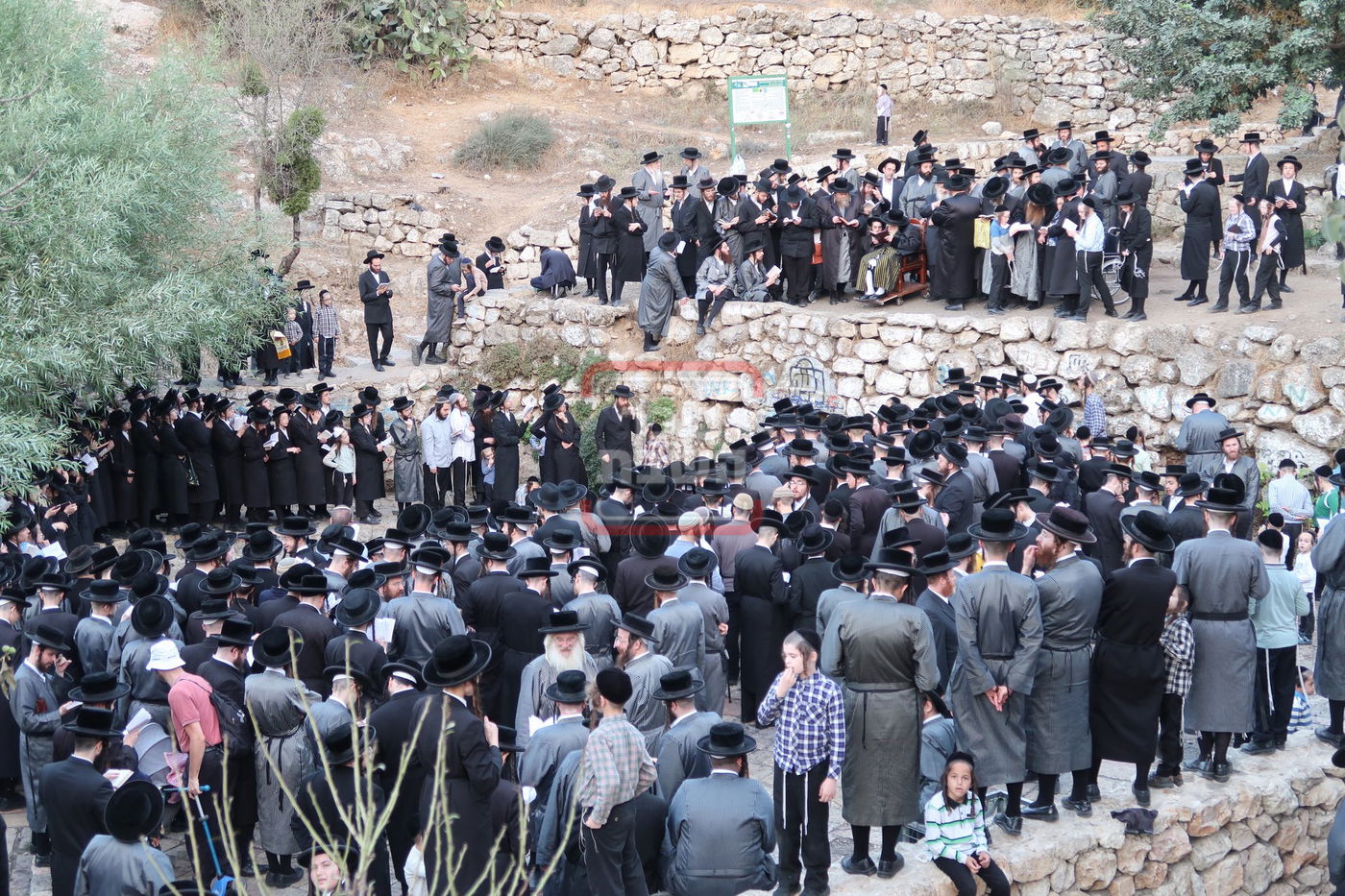 האדמו"ר מתולדות אברהם יצחק בתשליך 