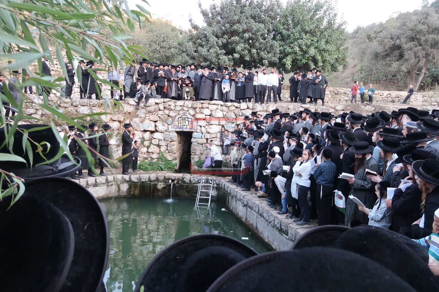 האדמו"ר מתולדות אברהם יצחק בתשליך 