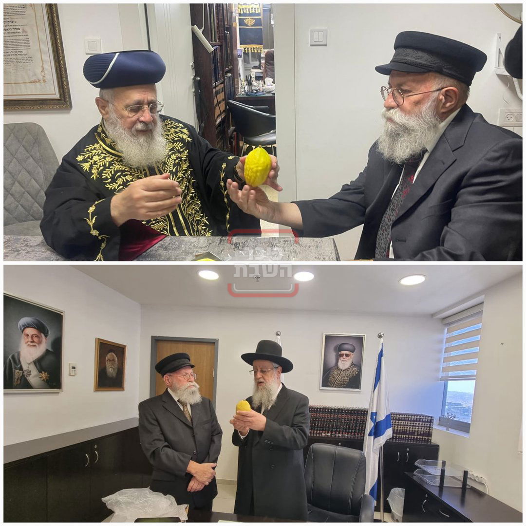 זופניק בכיכר • כל התמונות, הנייעס והחשיפות של השבועיים האחרונים