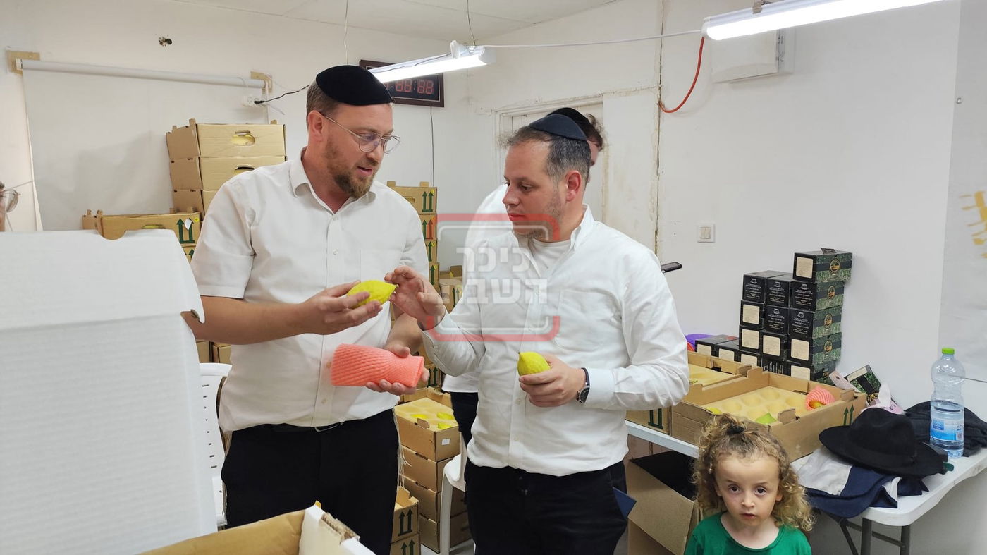 זופניק בכיכר • כל התמונות, הנייעס והחשיפות של השבועיים האחרונים