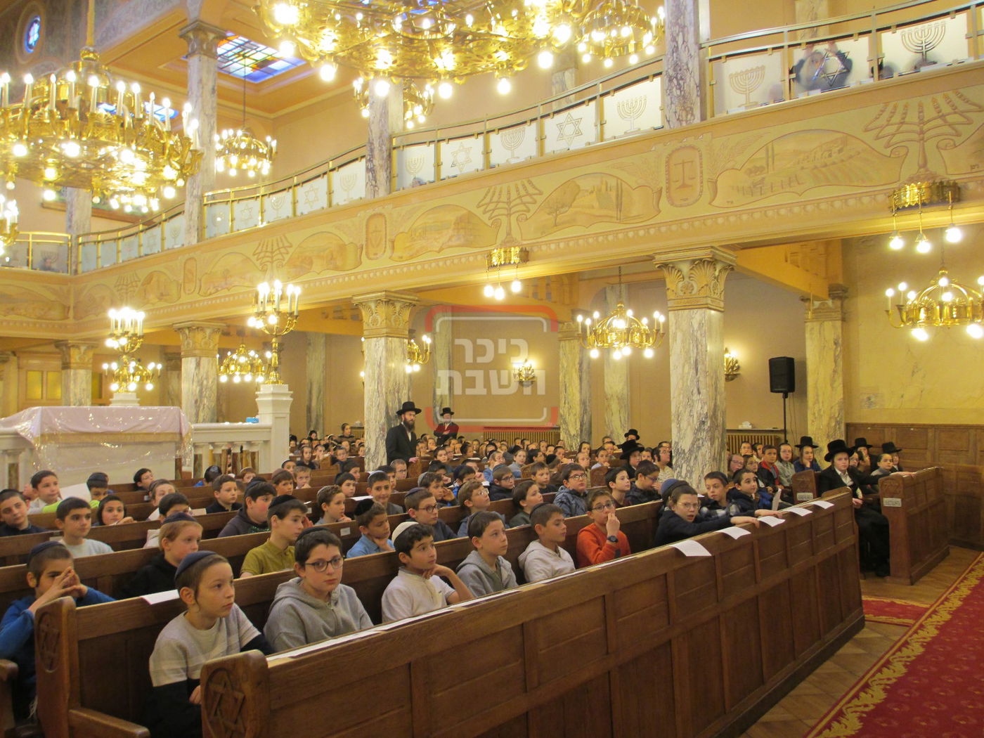 כינוס ילדי אנטווערפן