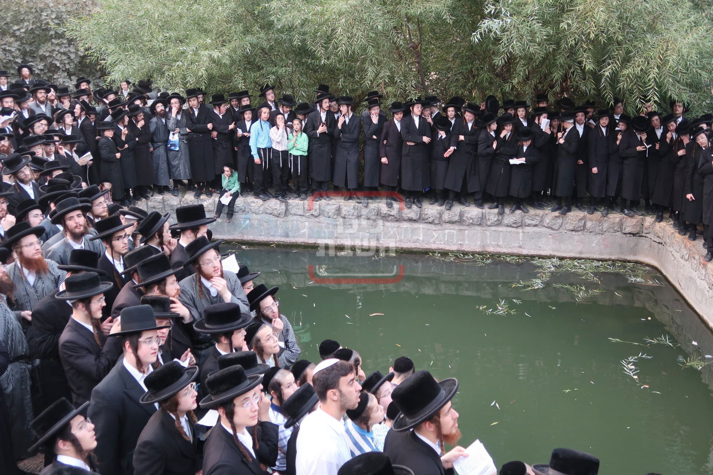 האדמו"ר מתולדות אברהם יצחק בתשליך 