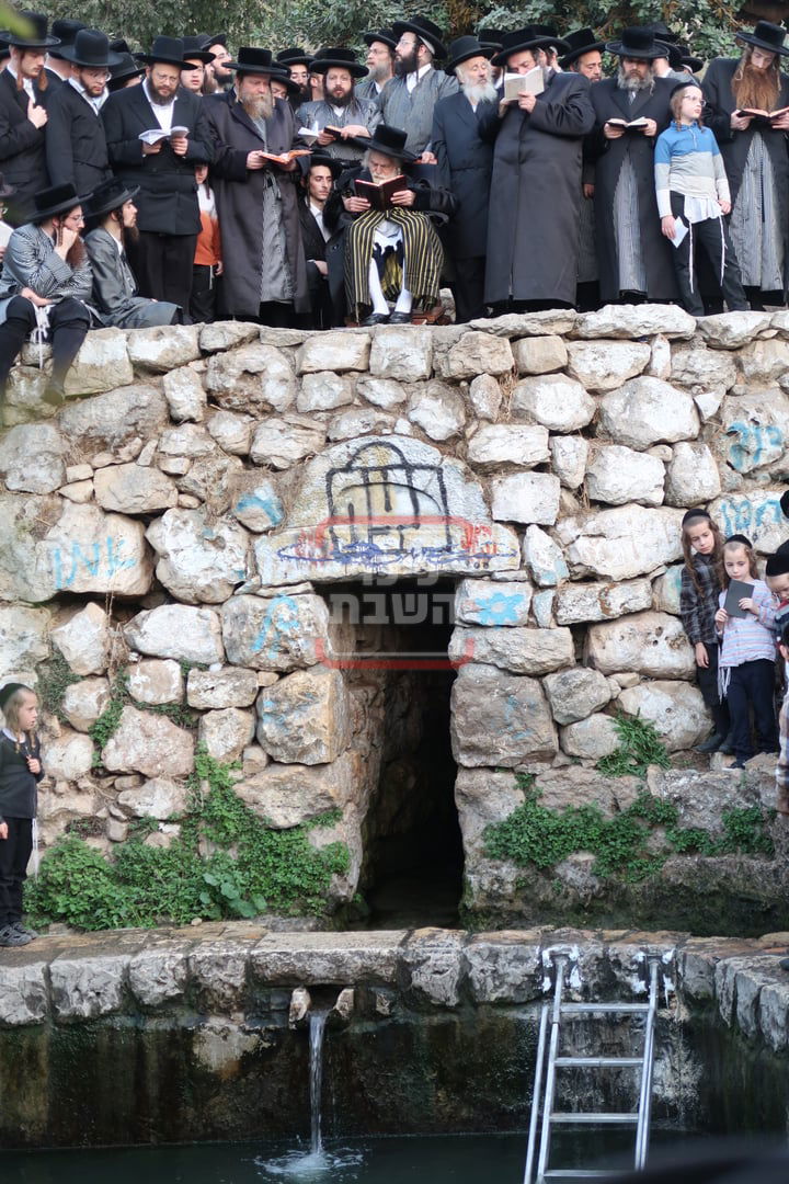 האדמו"ר מתולדות אברהם יצחק בתשליך 