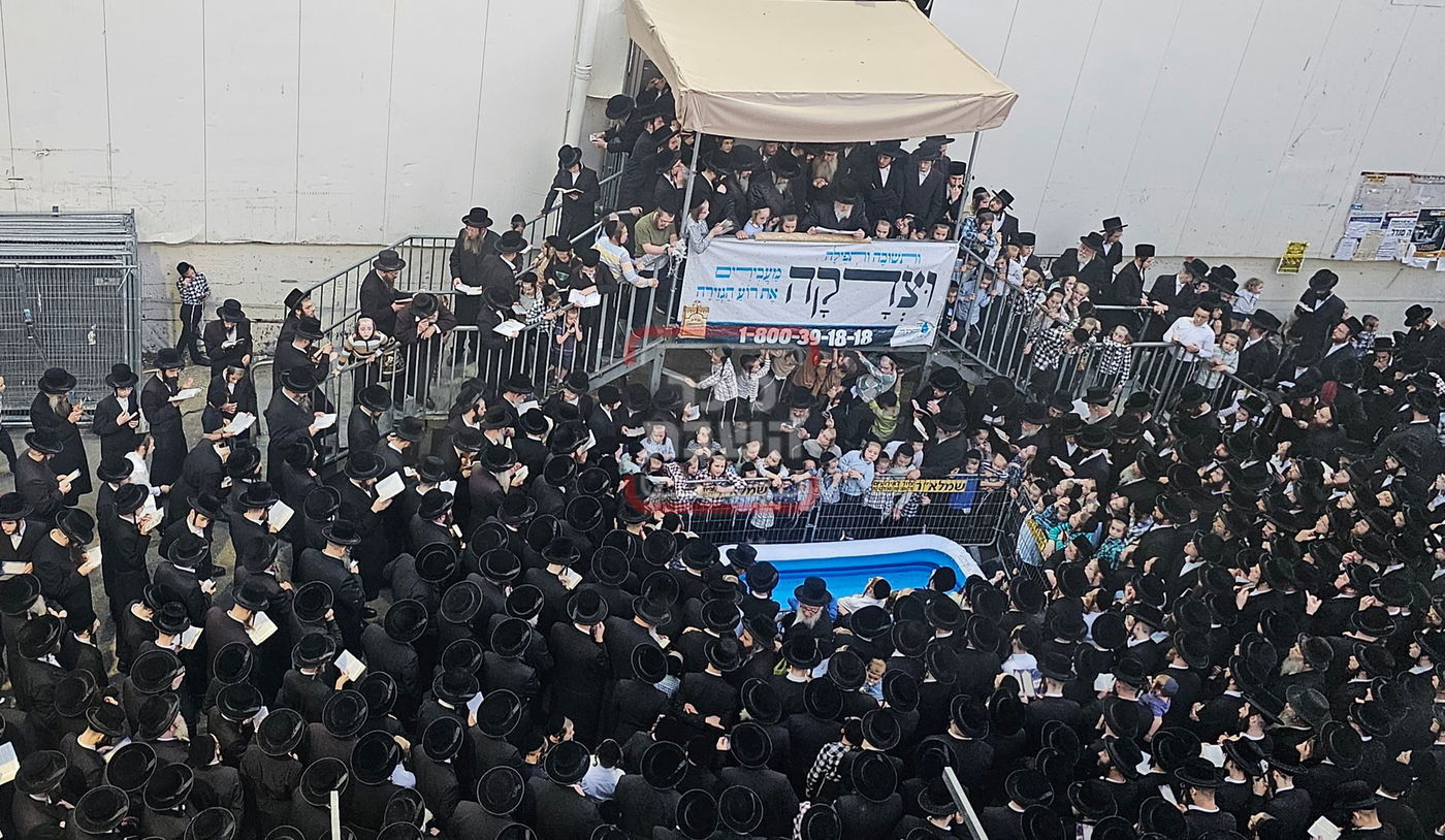 האדמו"ר מויז'ניץ במנהג תשליך 