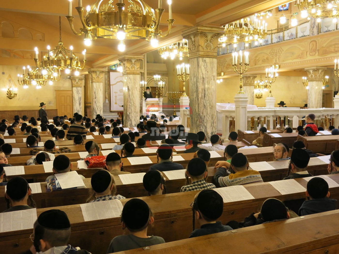 כינוס ילדי אנטווערפן