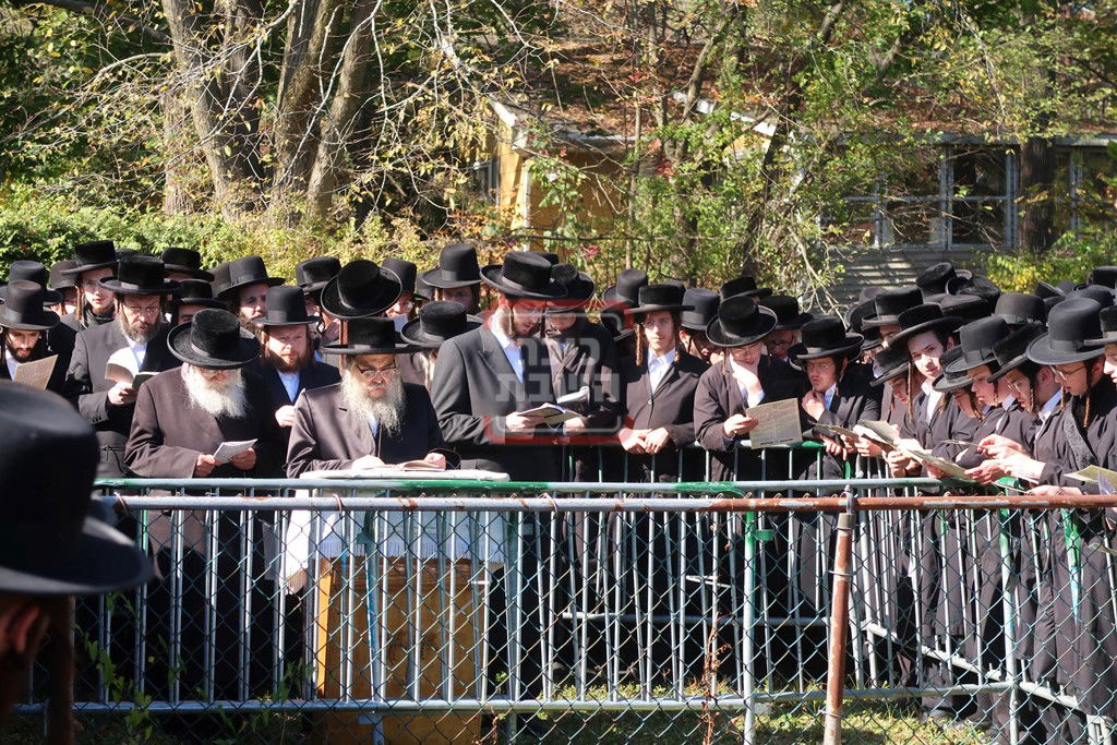 האדמו"ר מסאטמר בתשליך