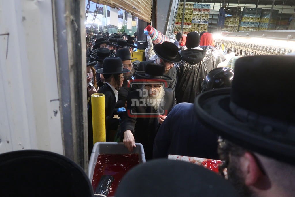 האדמו"ר מסאטמר בבית השחיטה בערב יום כיפור