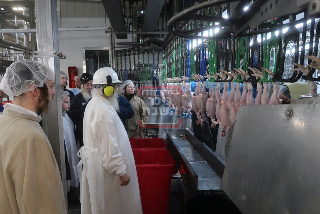 האדמו"ר מסאטמר בבית השחיטה בערב יום כיפור