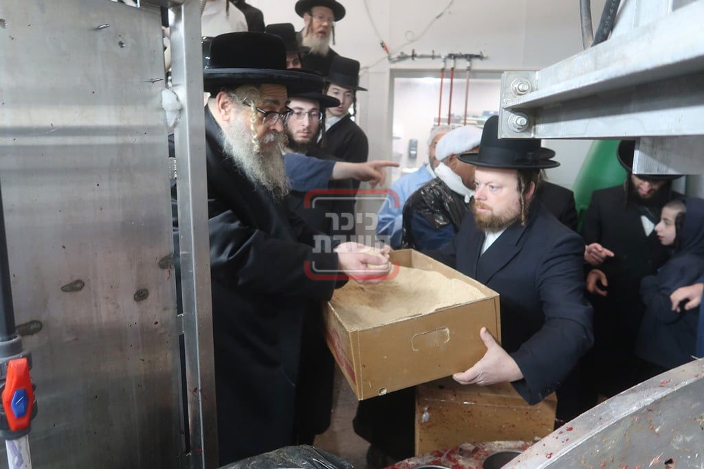 האדמו"ר מסאטמר בבית השחיטה בערב יום כיפור