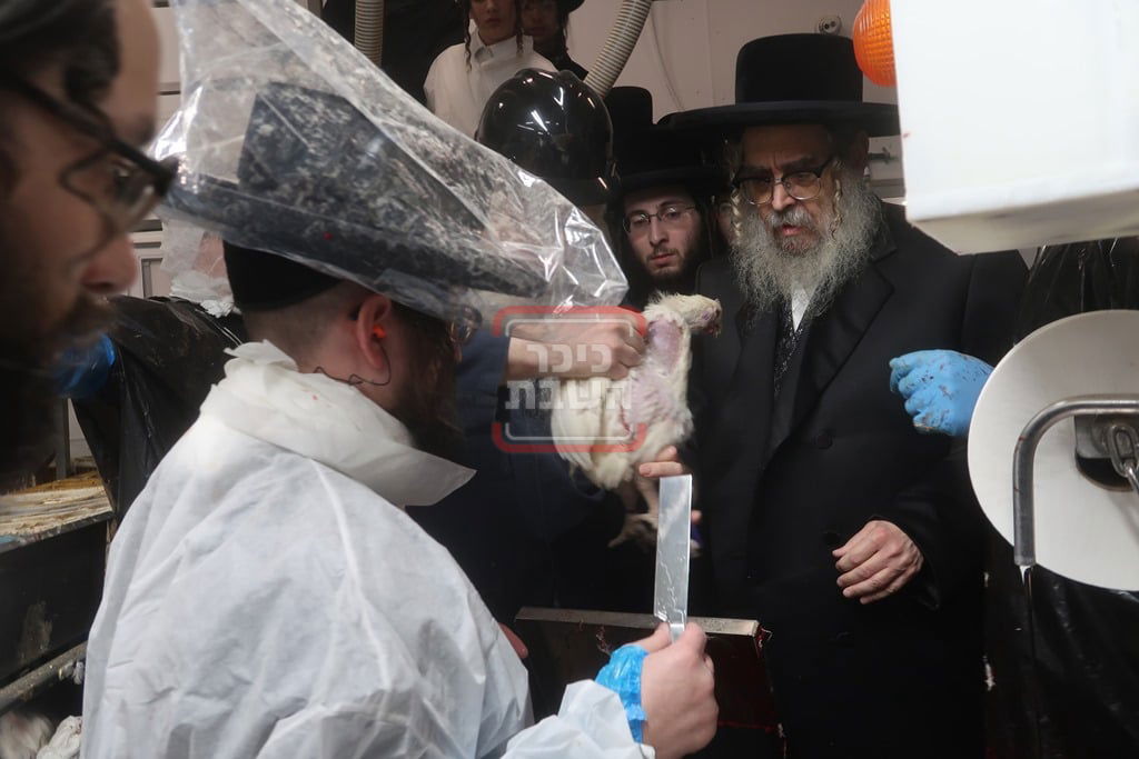 האדמו"ר מסאטמר בבית השחיטה בערב יום כיפור