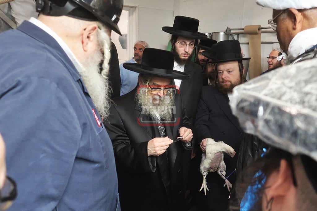 האדמו"ר מסאטמר בבית השחיטה בערב יום כיפור